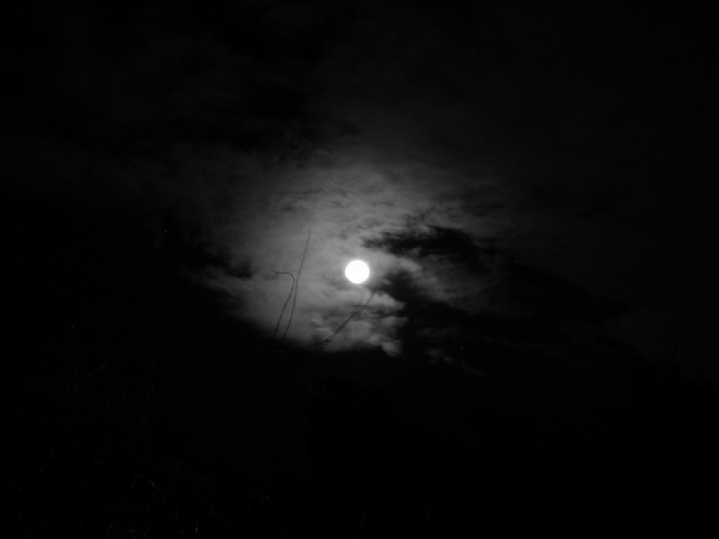 https://bijithmannur.files.wordpress.com/2015/03/midnight-fairy-moon-night.jpg